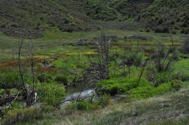 Brush Creek Trail